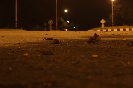 Quiet street の写真素材