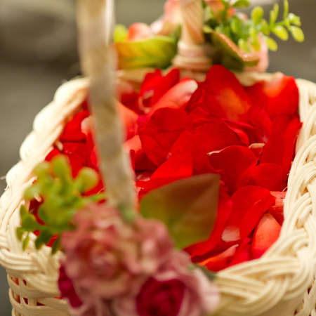 rose basketの写真素材