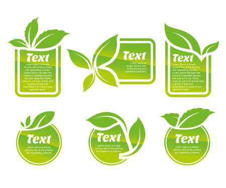 vector collection of leaf frames, icon, labels and stickersのイラスト素材