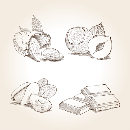 Nuts and Chocolate Illustrationsのイラスト素材