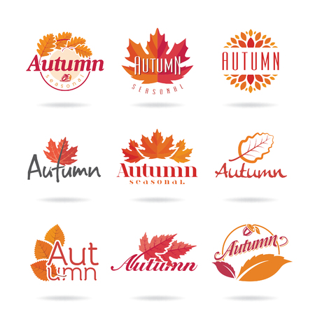 Autumn icon set. Vector illustration.のイラスト素材