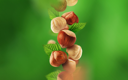 Hazelnuts and leaves falling from the airの写真素材
