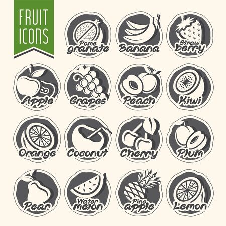 Ready design vector fruit icon setのイラスト素材