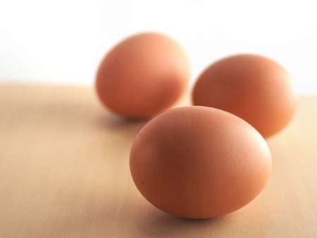 The eggsの写真素材