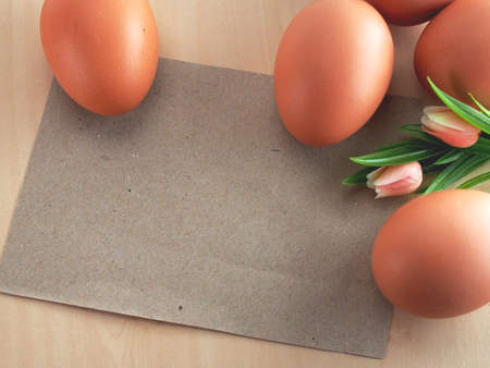 The eggs and the greeting cardの写真素材