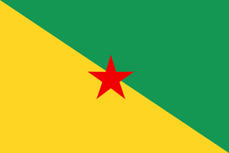 Flat French Guiana flag vector backgroundのイラスト素材