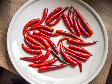 Hot chilli red on white ceramic plateの写真素材