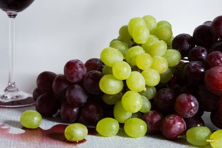 Red and white grapes on whiteの写真素材