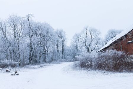 Snowy landscape with an old red houseの写真素材