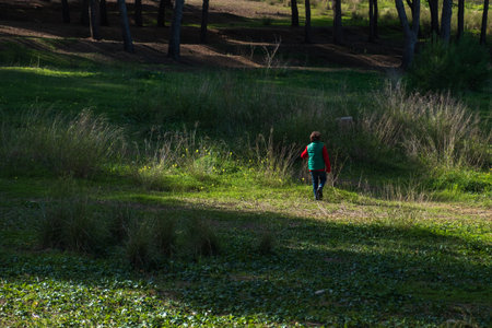 Five year old boy in a red jacket and green vest, as he walks through the country on a sunny winter afternoonの写真素材