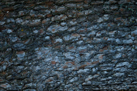 Stones texture and background. Natural rock textureの写真素材