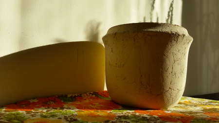 Flowerpot on a table in a sunlit room, close-upの写真素材
