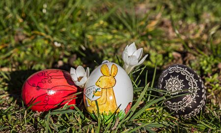 Easter eggs with colorful motive & crocus