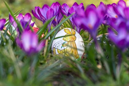 Easter eggs with colorful motive & crocus