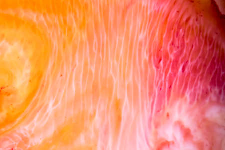 Ornate abstract gradients of acrylic paints