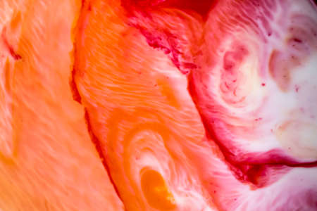 Ornate abstract gradients of acrylic paintsの写真素材