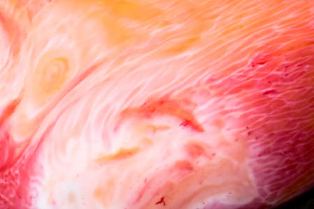 Ornate abstract gradients of acrylic paintsの写真素材