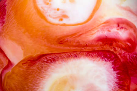 Ornate abstract gradients of acrylic paintsの写真素材