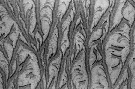 Ice flowers on a window pane