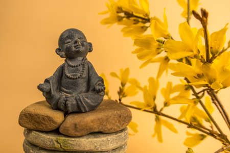 The meditation, relaxation, peace, wisdomの写真素材