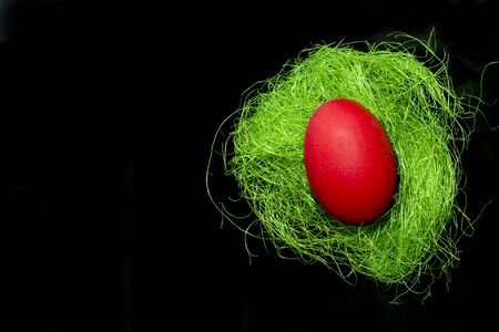 red Easter egg isolated on black background on green nest