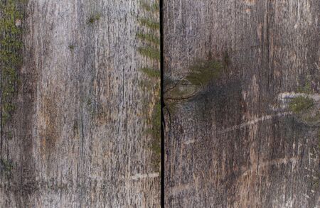 Structure from old grey boards
