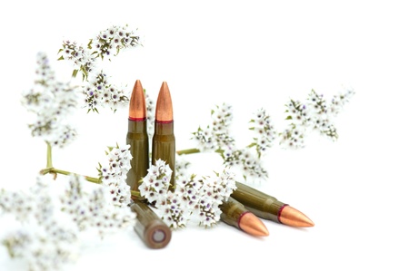 Fighting cartridges with a flower branch