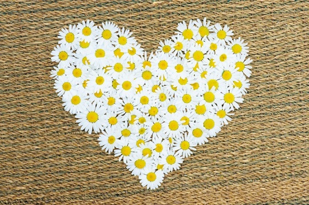 Heart from camomiles on a matの写真素材