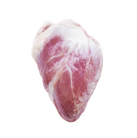Raw animal heart isolated on white background の写真素材