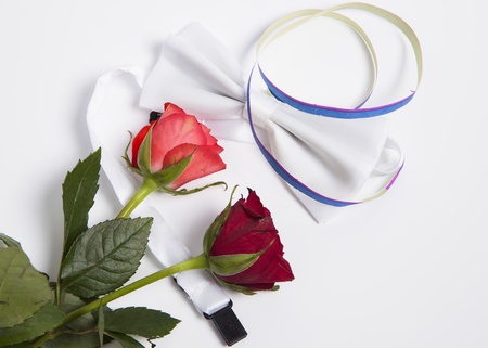 Image shows a white bow tie and red rosesの写真素材