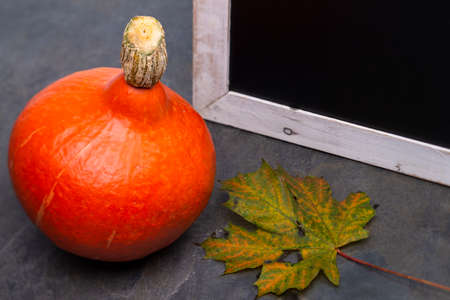 The photo shows an orange Hokkaido pumpkin with a leaf and a chalkboard with gray backgroundの写真素材
