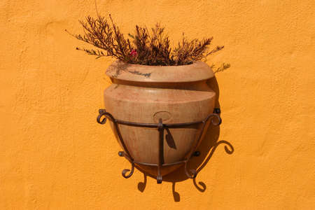Large decorative flowerpot attached to an orange painted wallの写真素材