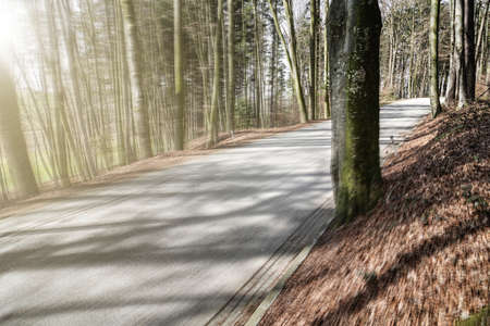Empty road in forest with motion blur