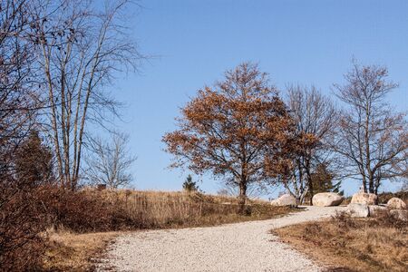 walking trail on Graves Island, Nova Scotia