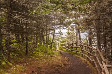 hiking trail along the atlantic coast