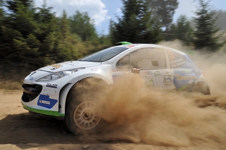 SIBIU, ROMANIA - JULY 20 2012: Delecour Francois/Savignoni Dominique - Peugeot 207 S2000 - IRC Rally Sibiu 2012のeditorial素材