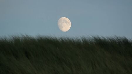 The moon over a grassy dune at the North Sea coast.の写真素材
