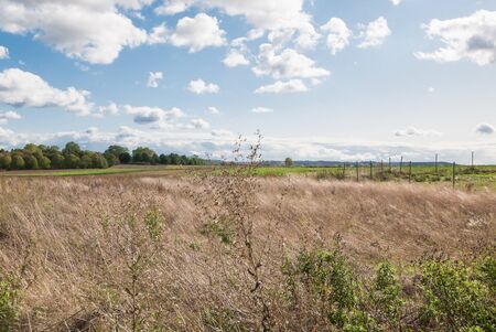 Cloudy sky over a harvested field in October.の写真素材