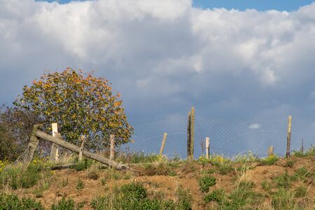 Clouds pile up behind a slope with a fence and a tree.の写真素材