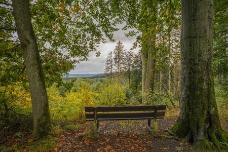 Bench overlooking the forest in october at the Olberg, Siebengebirge.