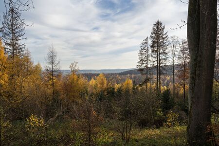 View over a autumnal Landscape in the late afternoon.の写真素材