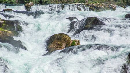 The roaring waters of the Rhine Falls near Schaffhausen.