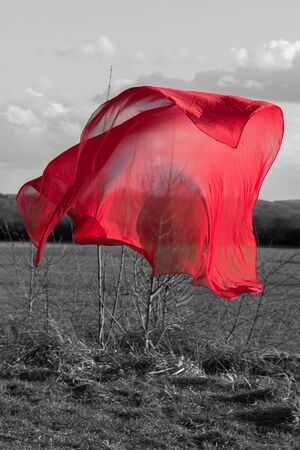 A red cloth hovers at the field edge.の写真素材