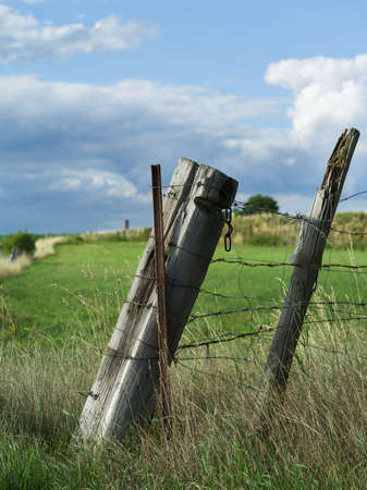 Fence posts on the edge of a field in July.の写真素材