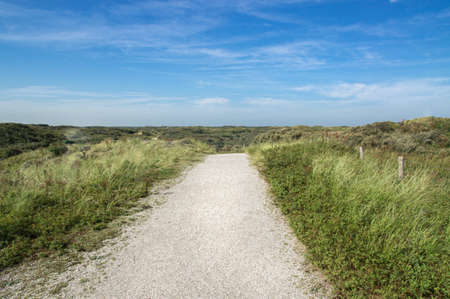 Gravel path through the dune landscape of the Dutch North Sea coast in summer.の写真素材