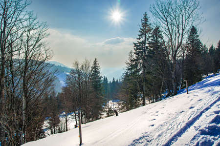 The sun shines over the snowy hills of the Black Forest.の写真素材