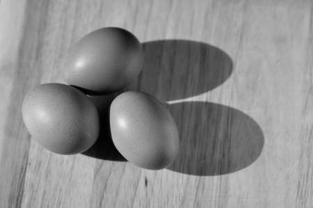 Eggs on Cutting Board, in Monochromeの写真素材