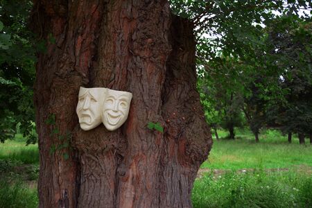 The two faces of theater placed on the treeの写真素材