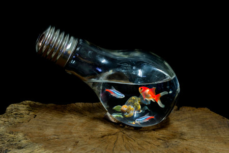 Fish in the the bulb.の写真素材