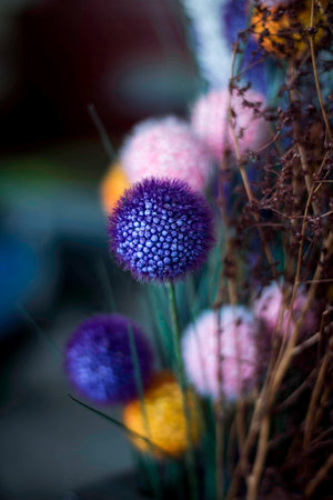 Bouquet of dried flowers ornamental.の写真素材